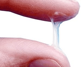 Ер адамның секрециясы әдетте қандай көрінеді